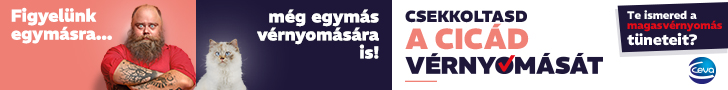 Macskák magas vérnyomása