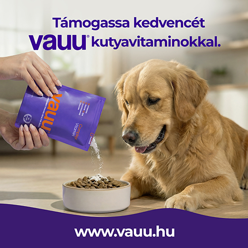 Vauu