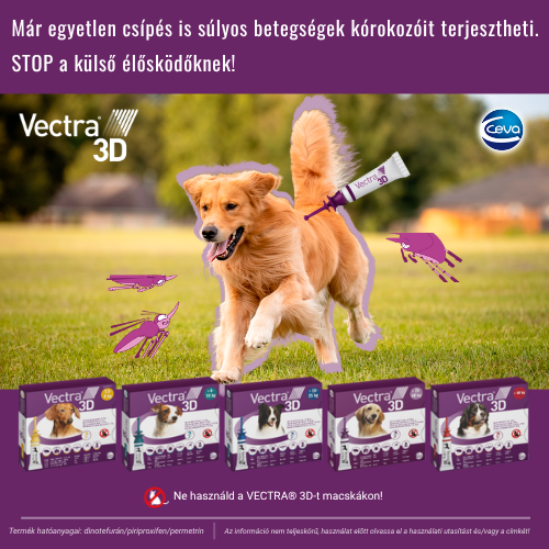Vectra3D