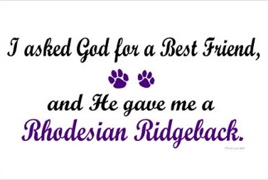 rhodesianridgeback