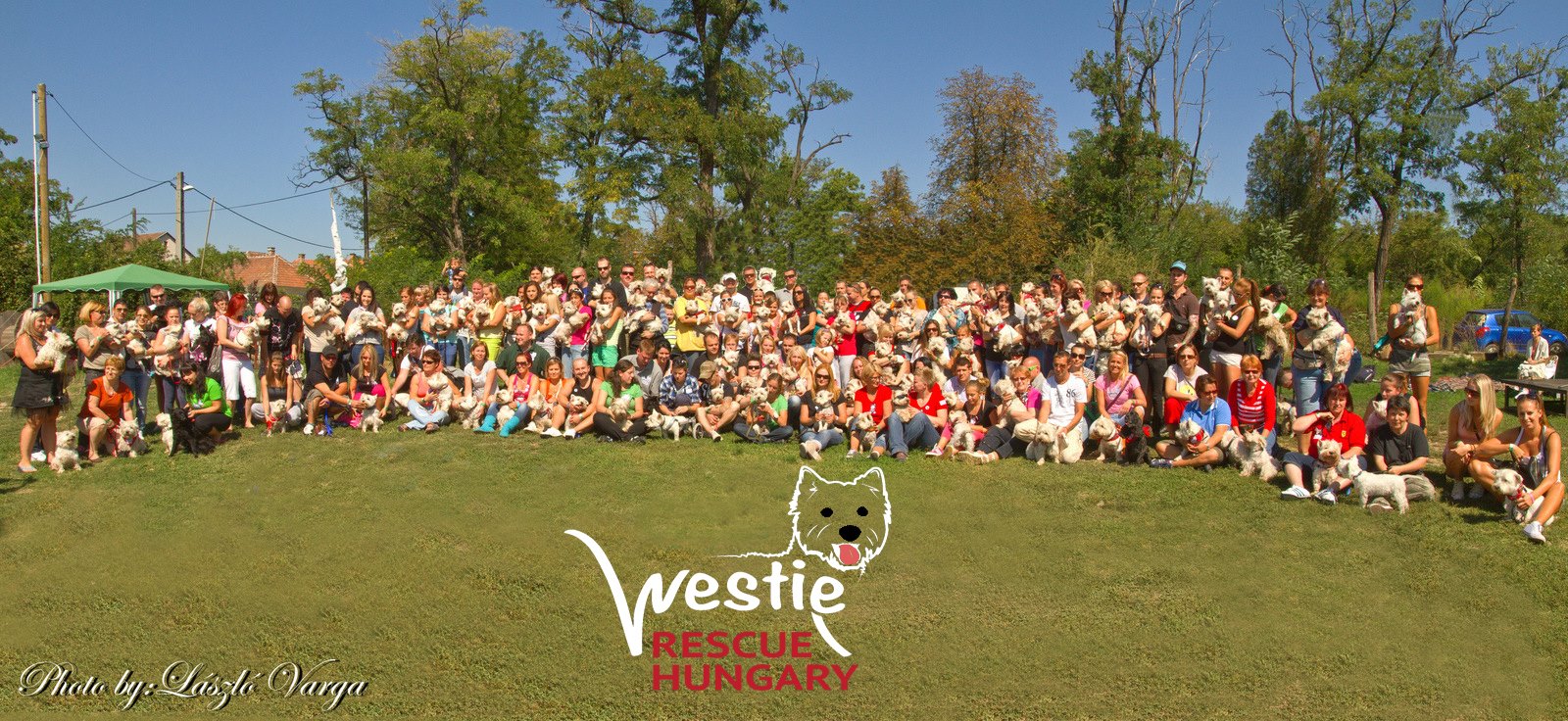 http://westierescuehungary.hu http://westierescuehungary.hu