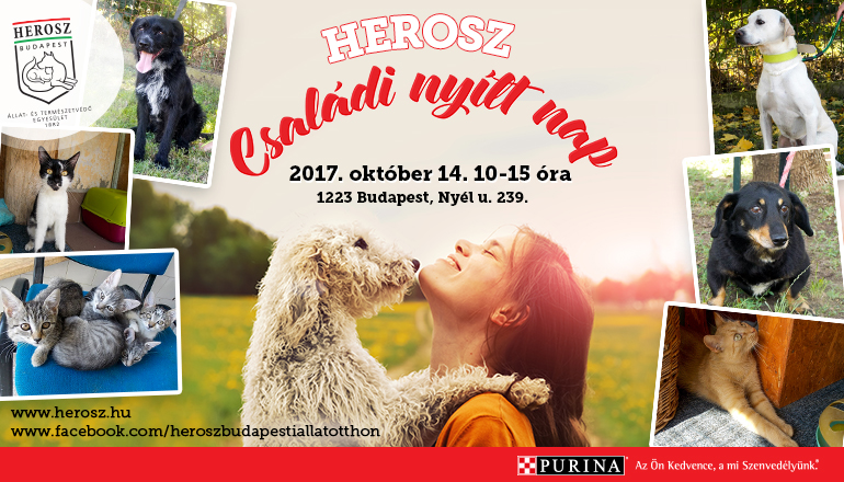 Nyílt nap a HEROSZ Budapesti Állatotthonban