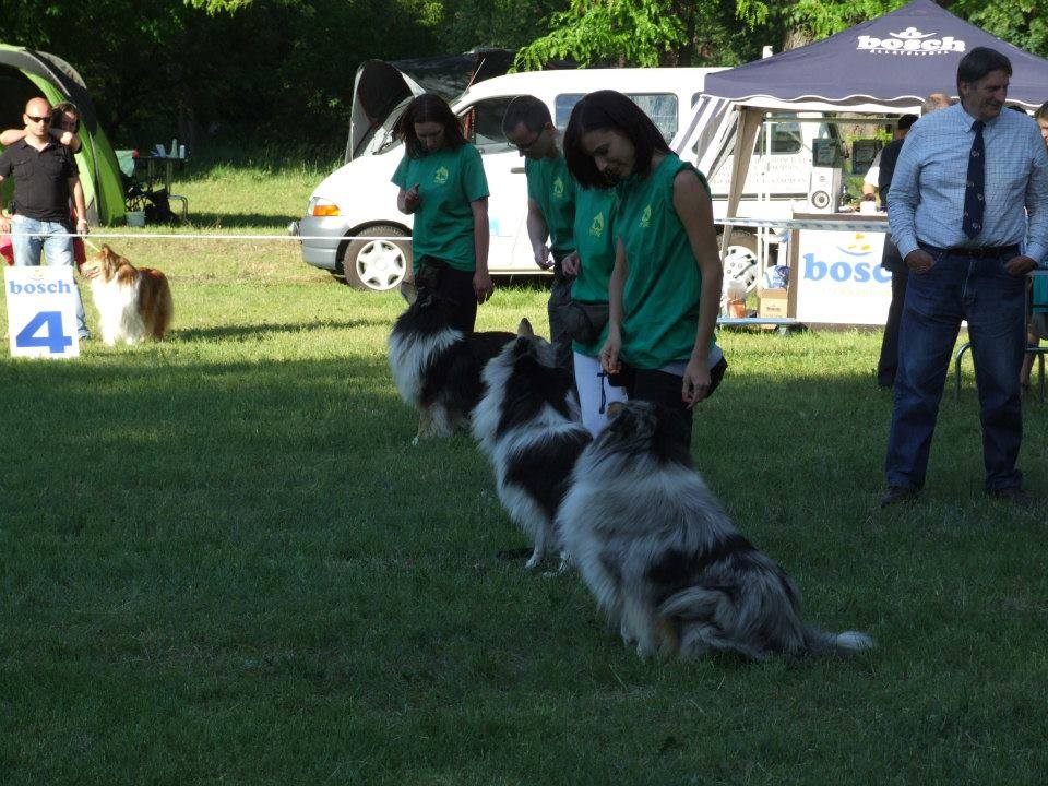 1512347-10200323797977002-188748409-n.jpg 1512347-10200323797977002-188748409-n.jpg