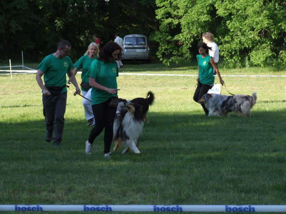 1524617-10200323796896975-1908225195-n.jpg 1524617-10200323796896975-1908225195-n.jpg