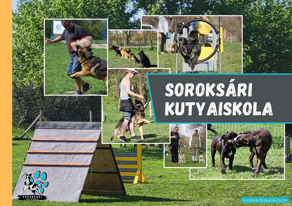soroksari_kutyaiskola_1v.jpg