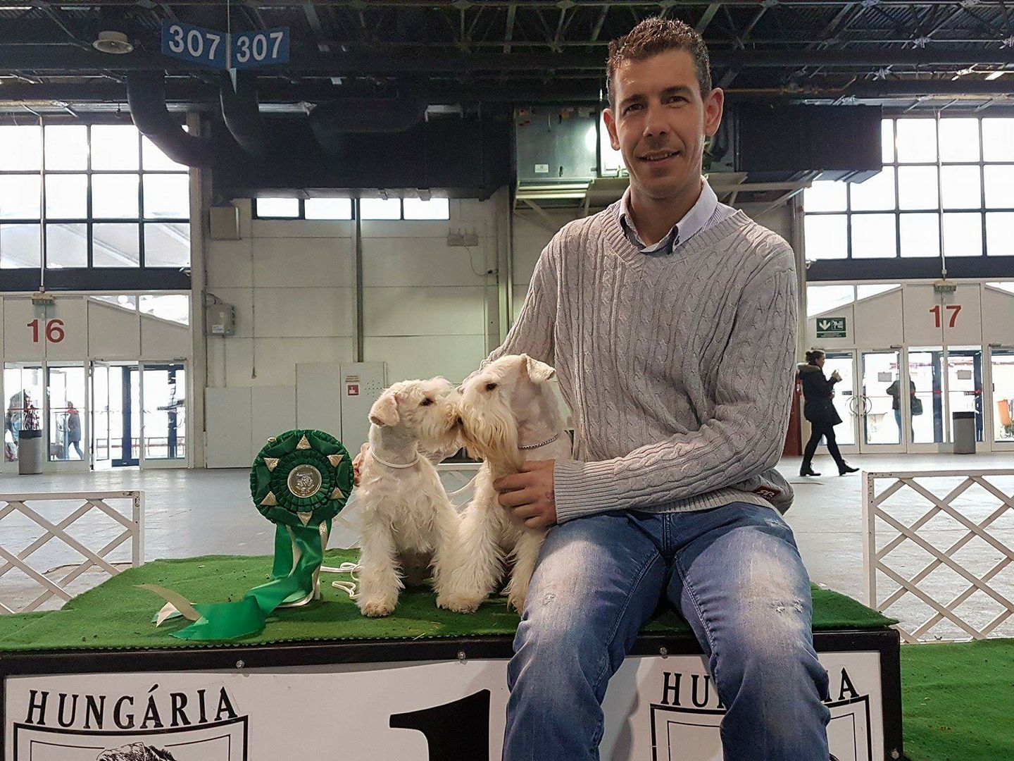 White-Gold Madonna Schnauzer Kennel White-Gold Madonna Schnauzer Kennel
