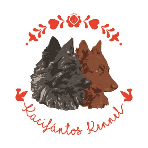 Kacifántos kennel