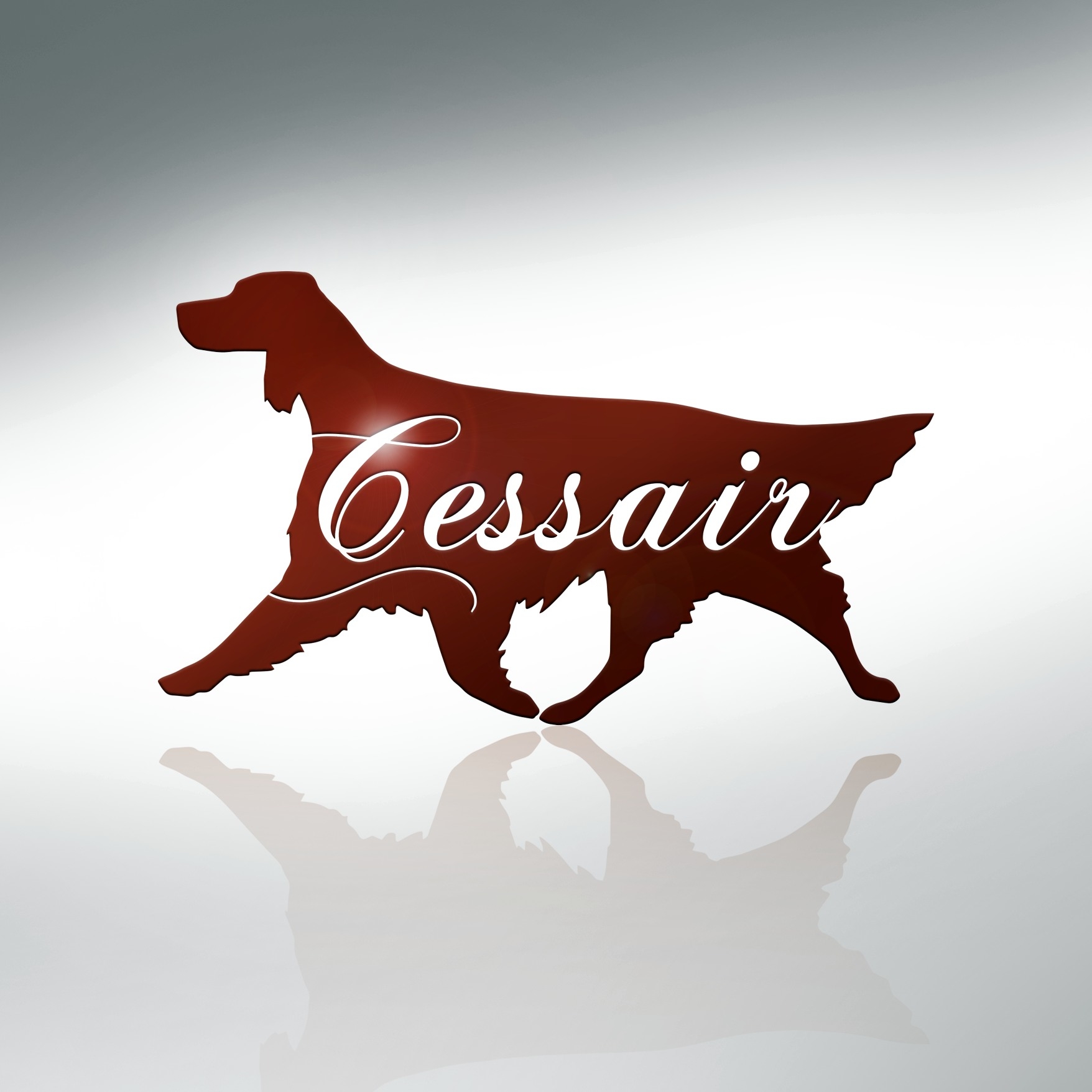 CESSAIR
