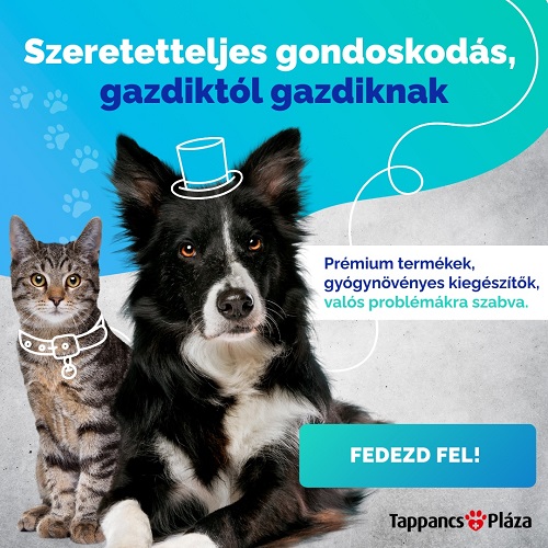 Miért jó választás a DrPetPaw?