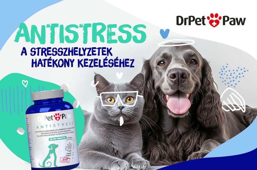 Természetes nyugalom a legstresszesebb helyzetekben is