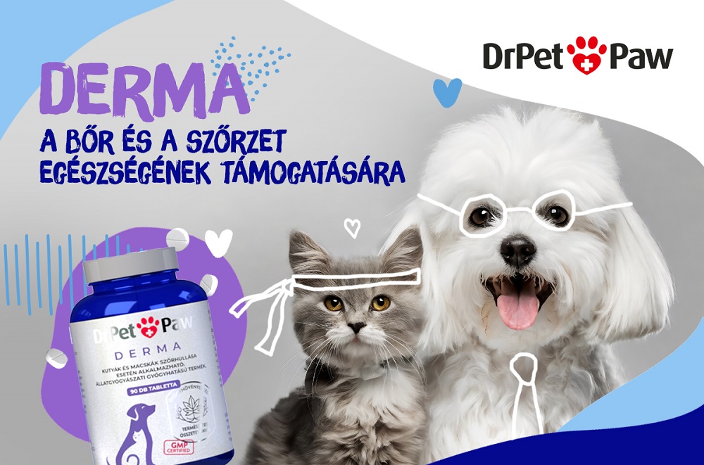 poszt-derma-01e.jpg