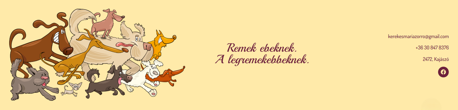 RemekEb Fizioterápia és Kutyafitnesz